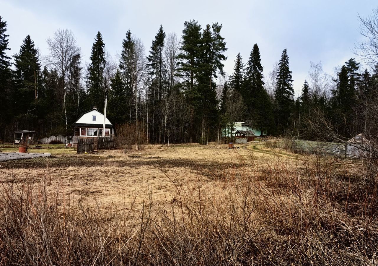 земля р-н Выборгский г Выборг Каменногорское городское поселение, СНТ Родник фото 4