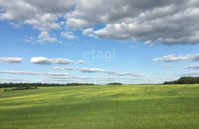 земля Краснослободское сельское поселение фото