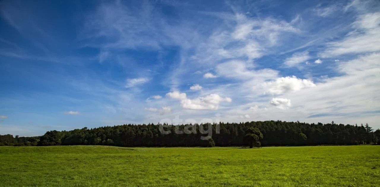 земля р-н Белозерский г Белозерск пр-кт Советский фото 4