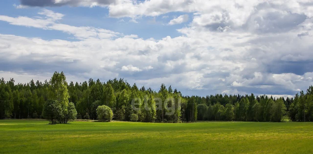 земля р-н Белозерский г Белозерск пр-кт Советский фото 6