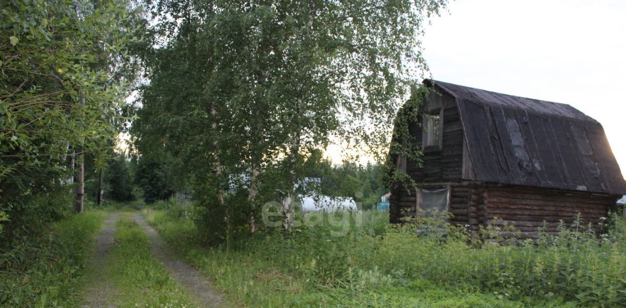 дом р-н Череповецкий д Яконское Тоншаловское с/пос, Аммофос-1, садоводческое товарищество фото 17