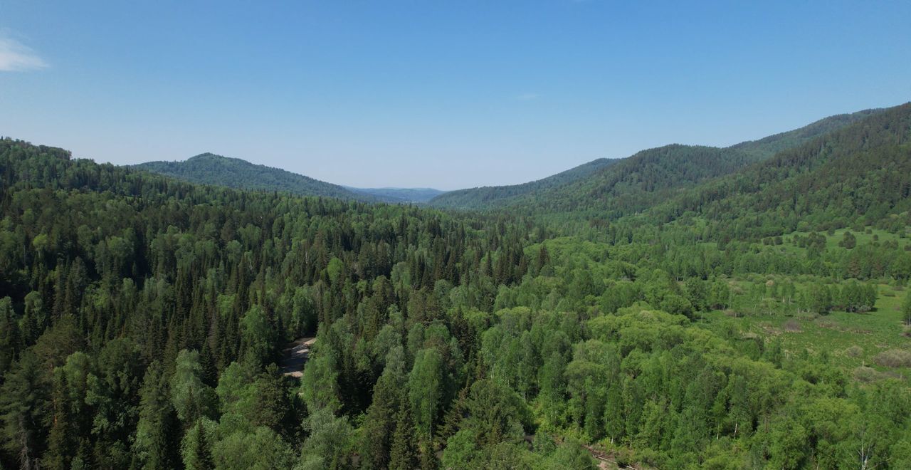 земля р-н Чойский с Кара-Торбок Горно-Алтайск фото 24