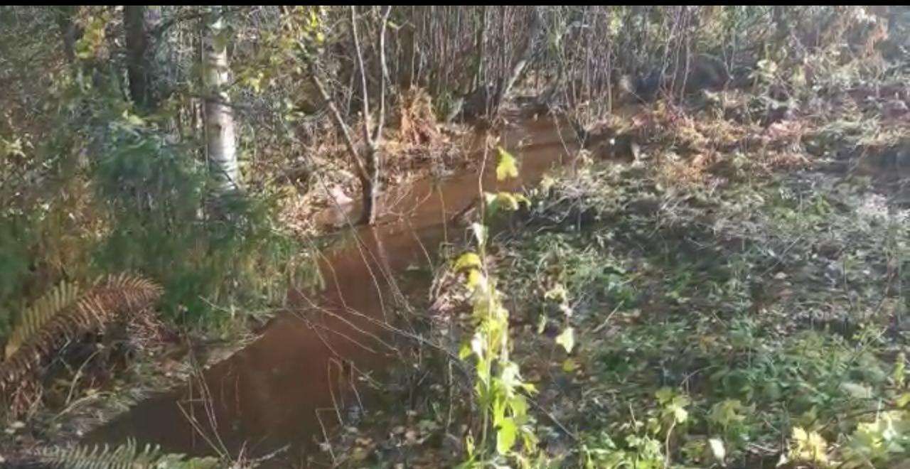 земля р-н Прионежский снт Нелукса Деревянское сельское поселение, Петрозаводск фото 6