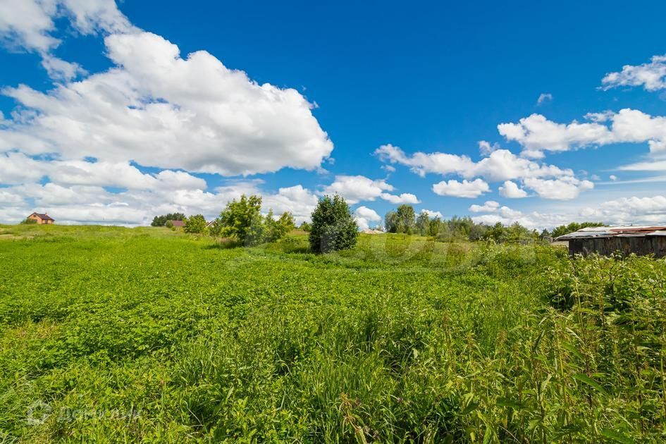 земля р-н Тюменский село Кулига фото 6