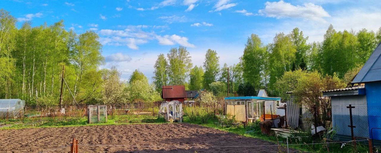 земля р-н Тогучинский с Репьево снт Клубничка 129, Сокур фото 1