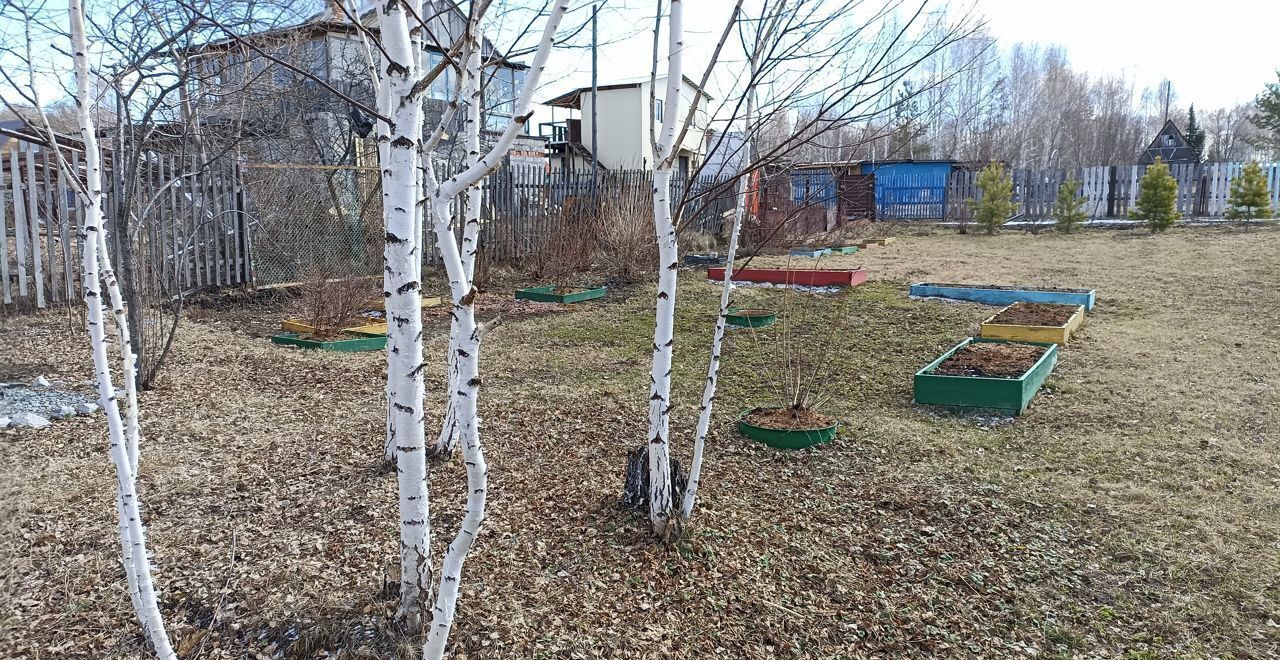 земля р-н Тогучинский нп Паровозный снт Ветеран Сокур фото 14