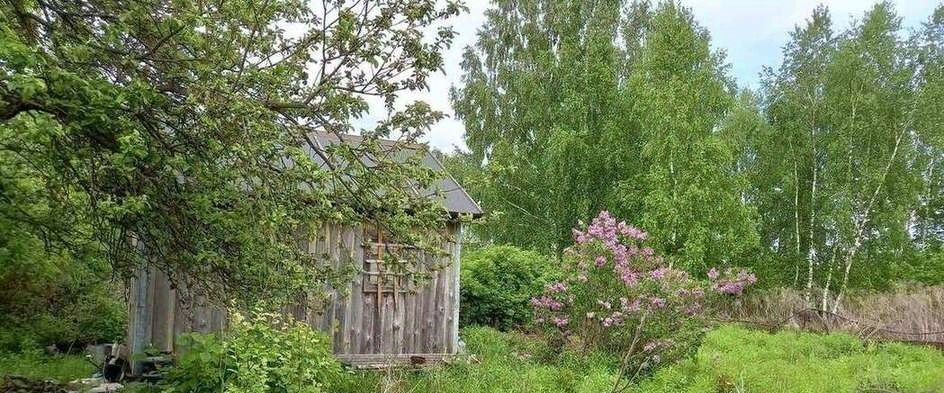 дом р-н Брянский п Путевка снт Русь пос, СДТ, Снежское с, с. Толмачево фото 1