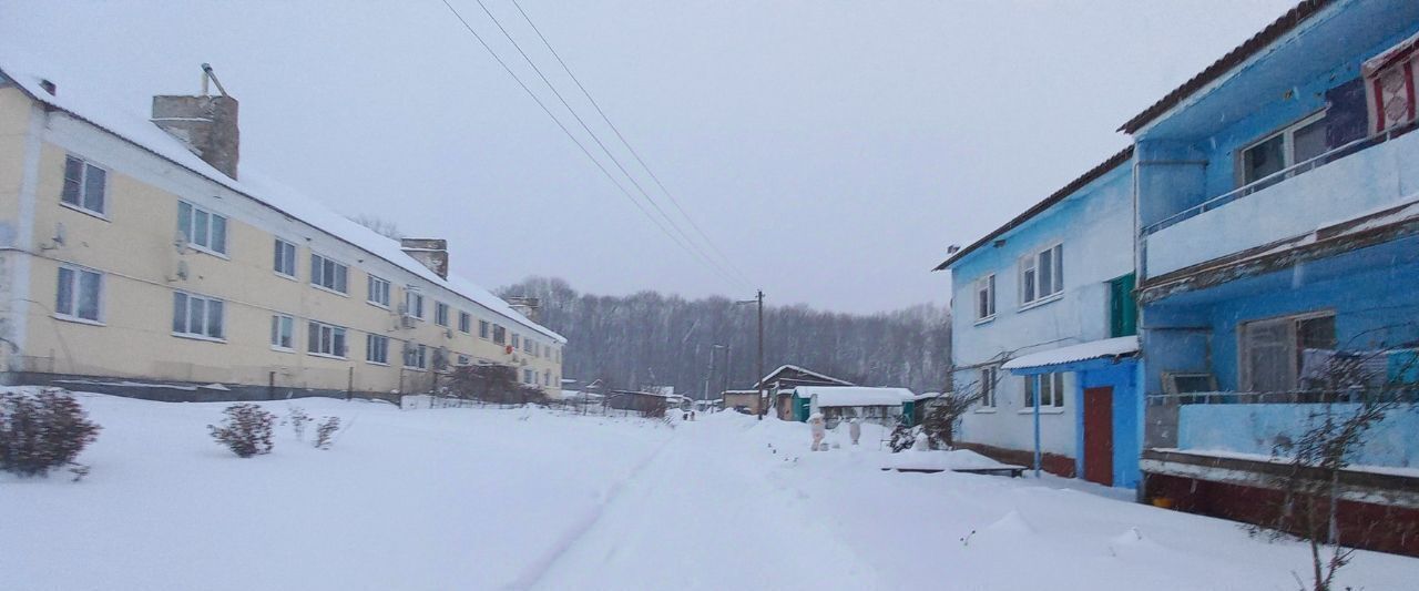 квартира р-н Урицкий п Совхозный пер Молодежный 4 Архангельское с пос фото 2