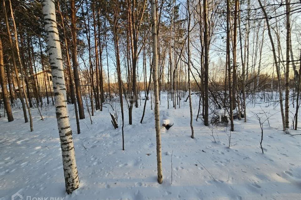 земля г Екатеринбург п Медный Екатеринбург, коттеджный посёлок Медный-2, муниципальное образование фото 2