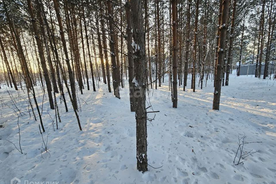 земля г Екатеринбург п Медный Екатеринбург, коттеджный посёлок Медный-2, муниципальное образование фото 4