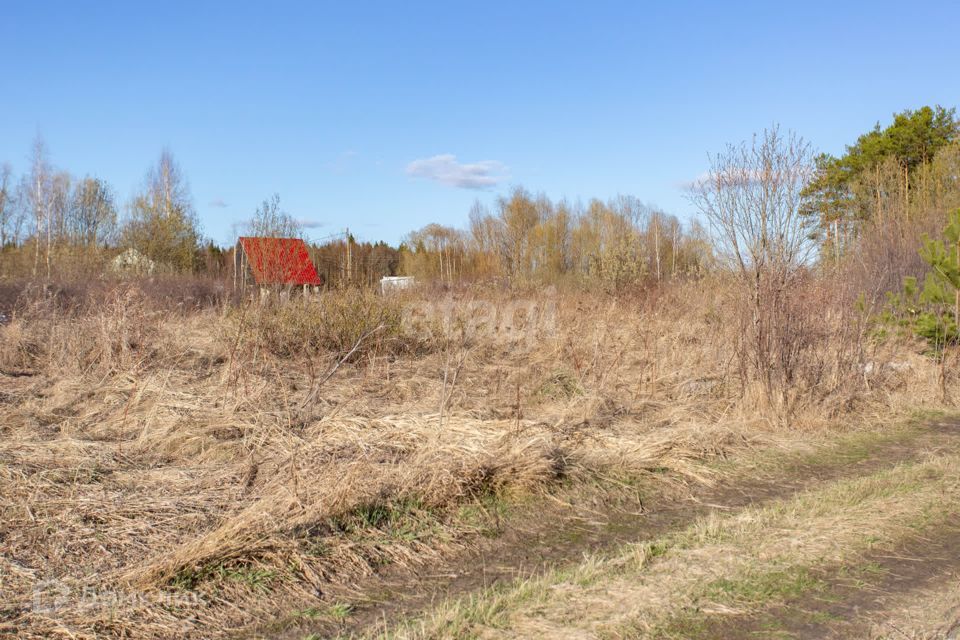 земля г Тобольск садоводческое товарищество Старица, городской округ Тобольск фото 7