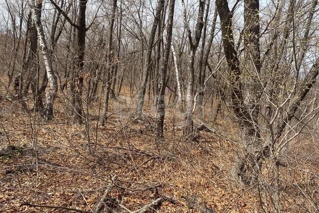 ул Лермонтова Владивостокский городской округ фото