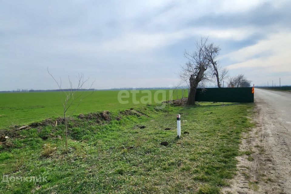 земля р-н Северский пгт Черноморский садово-дачное товарищество Дружба фото 3