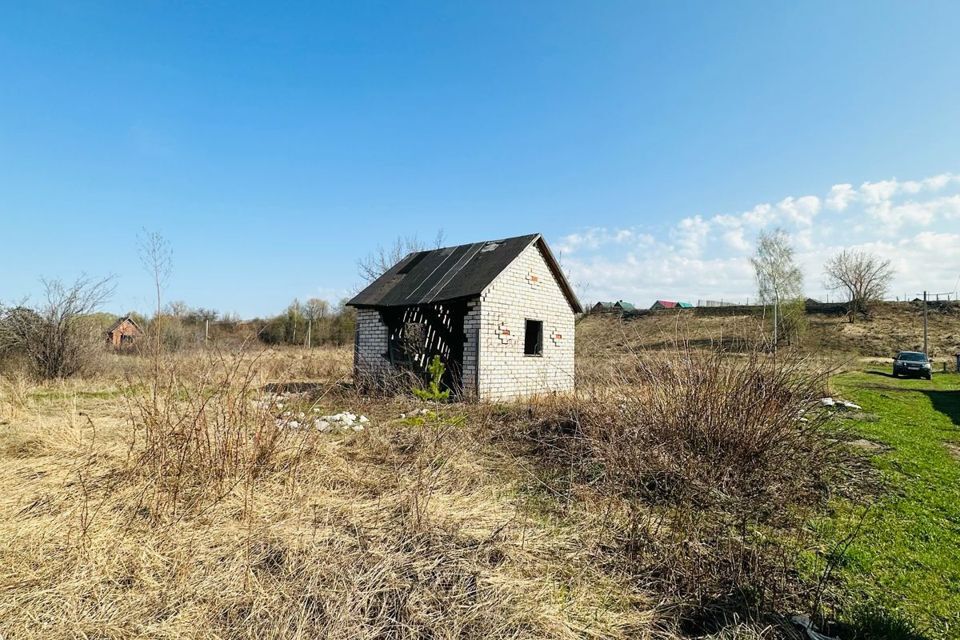 земля р-н Нижнекамский с Большое Афанасово СНТ Мичуринец фото 1