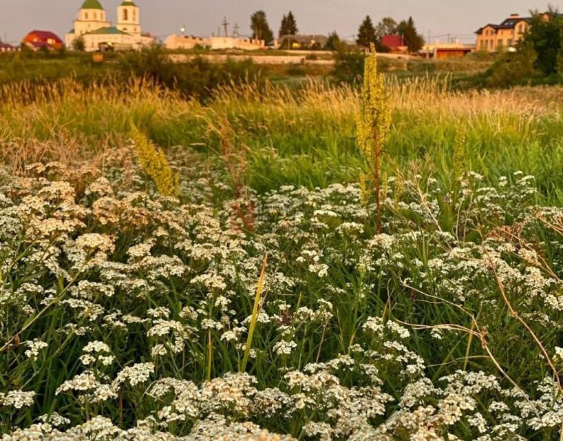 земля р-н Тюменский село Каменка фото 6