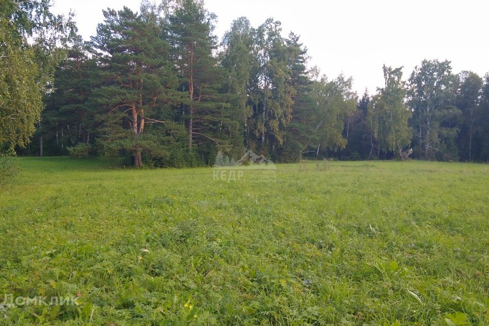 земля р-н Сухобузимский снт Дачное некоммерческое товарищество Солнечный День, 4, Емельяновский район фото 1