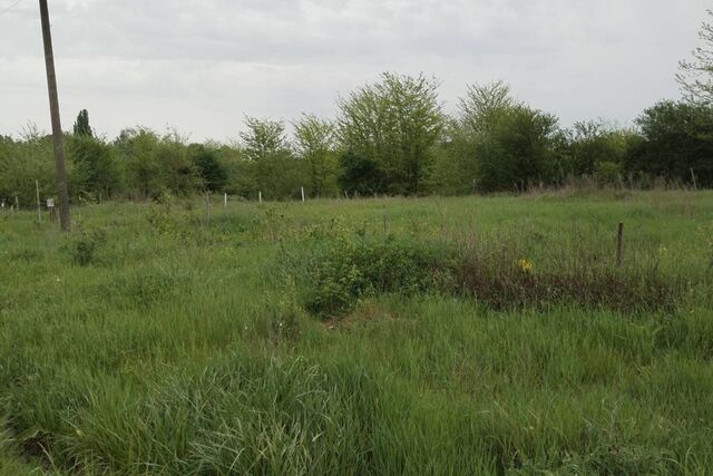 городской округ Горячий Ключ, станица Суздальская фото