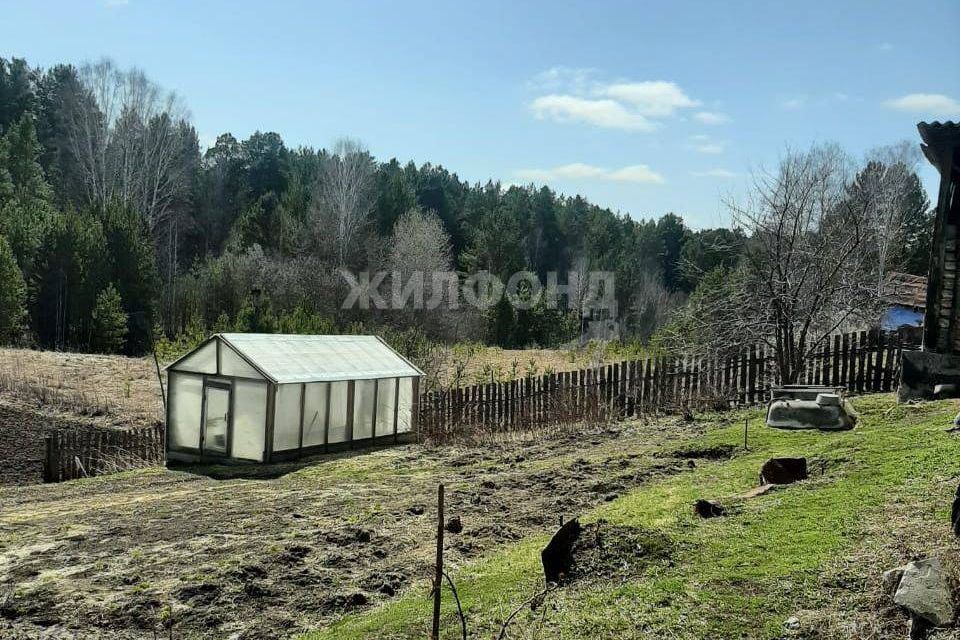 дом р-н Новосибирский п Сосновка Набережная улица фото 8