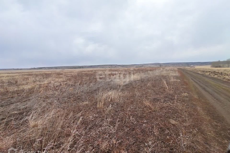 земля р-н Сухобузимский Шилинский сельсовет фото 1