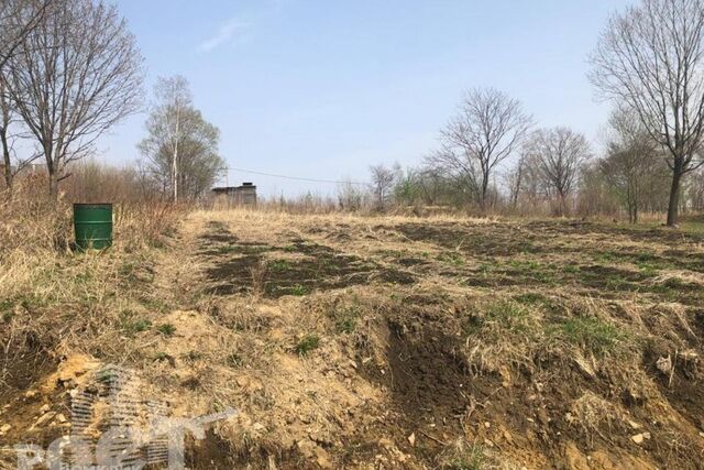 Артёмовский городской округ, СТ Берёзка-2 фото