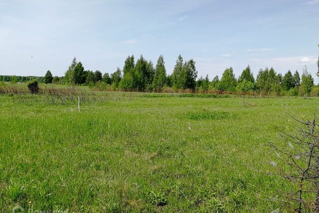 земля муниципальное образование Смоленск, садоводческое товарищество Подснежники фото