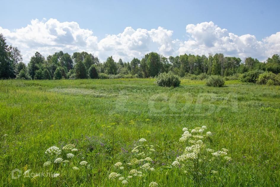 земля р-н Тюменский фото 4