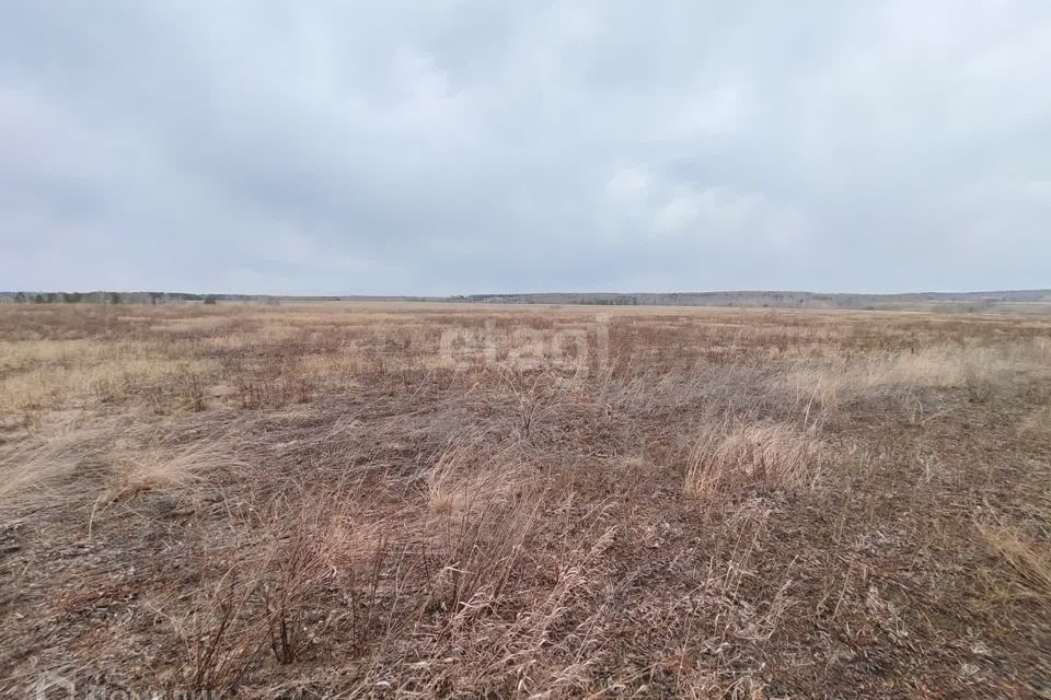 земля р-н Сухобузимский Шилинский сельсовет фото 4