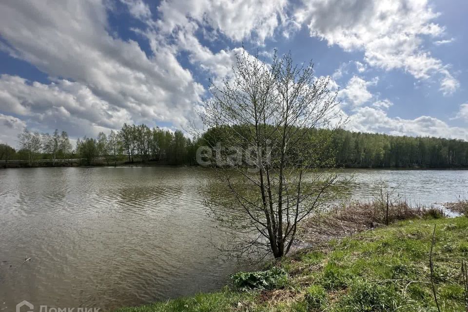 земля р-н Богородский деревня Килелей фото 2