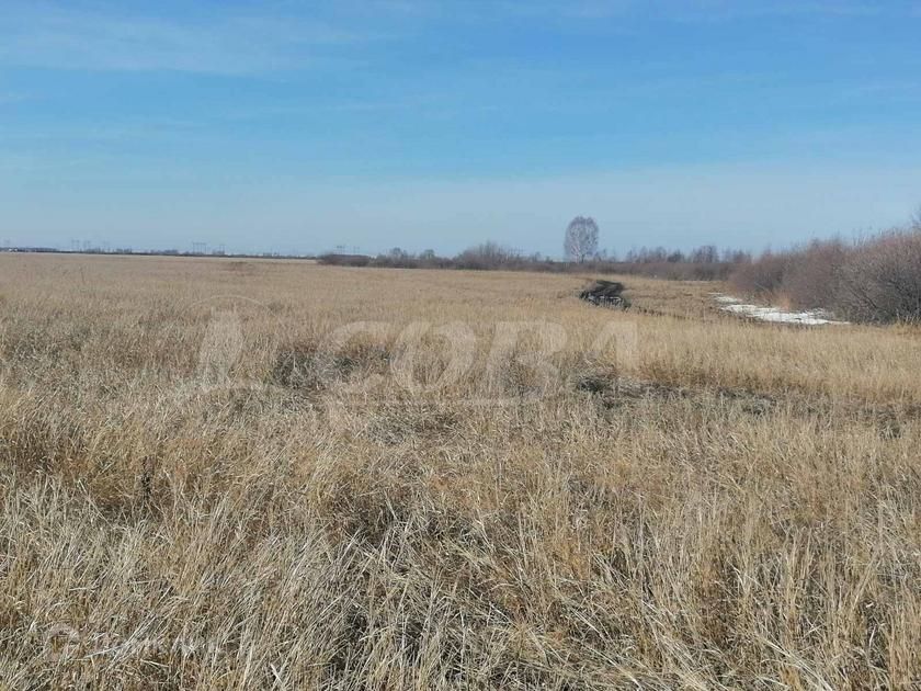 земля г Тюмень городской округ Тюмень, Ленинский округ фото 2