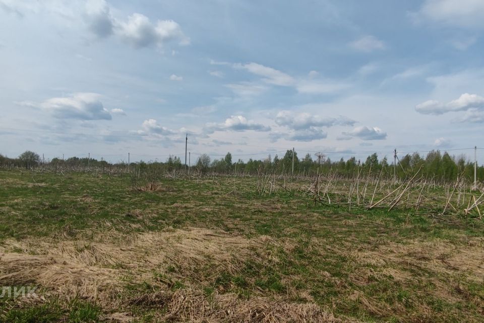 земля р-н Борисоглебский село Георгиевское фото 3