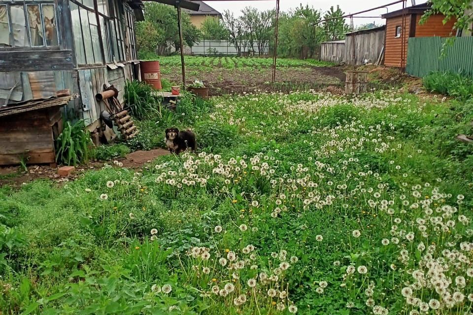 земля р-н Зеленчукский ст-ца Зеленчукская ул Зеленчукская фото 1