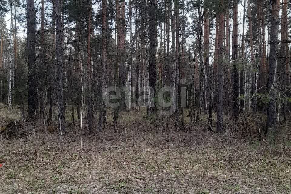 земля г Екатеринбург муниципальное образование город Екатеринбург, ПСК Северка-1 фото 4