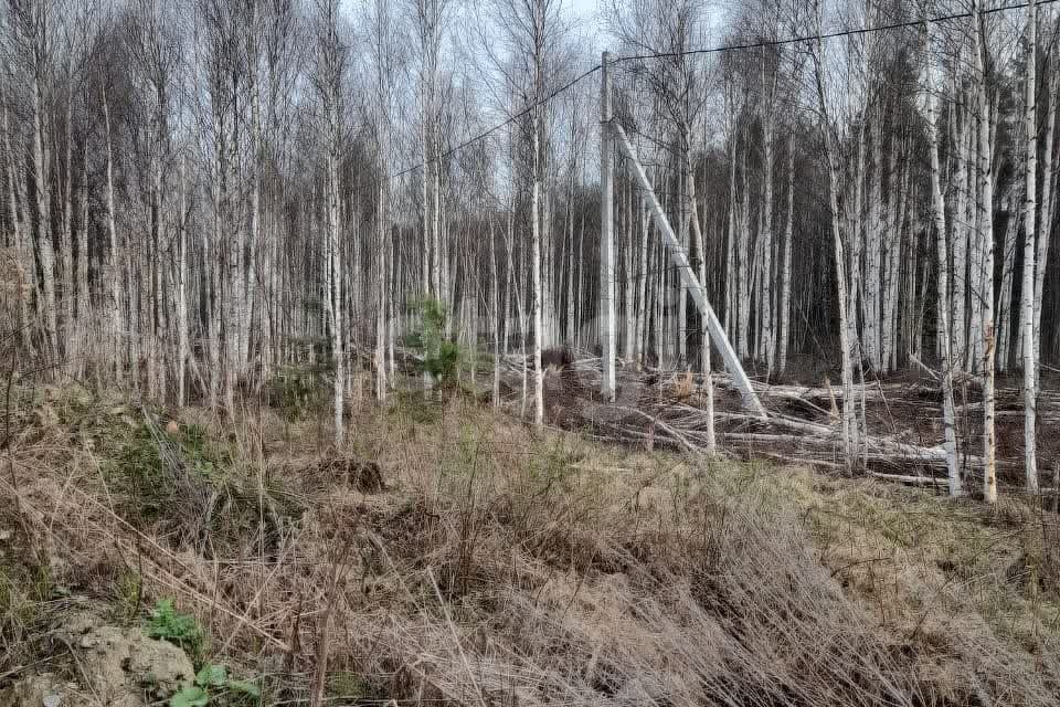 земля г Екатеринбург муниципальное образование город Екатеринбург, ПСК Северка-1 фото 3