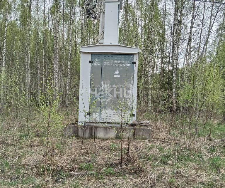 земля р-н Городецкий деревня Никольское Смольковский сельсовет фото 2