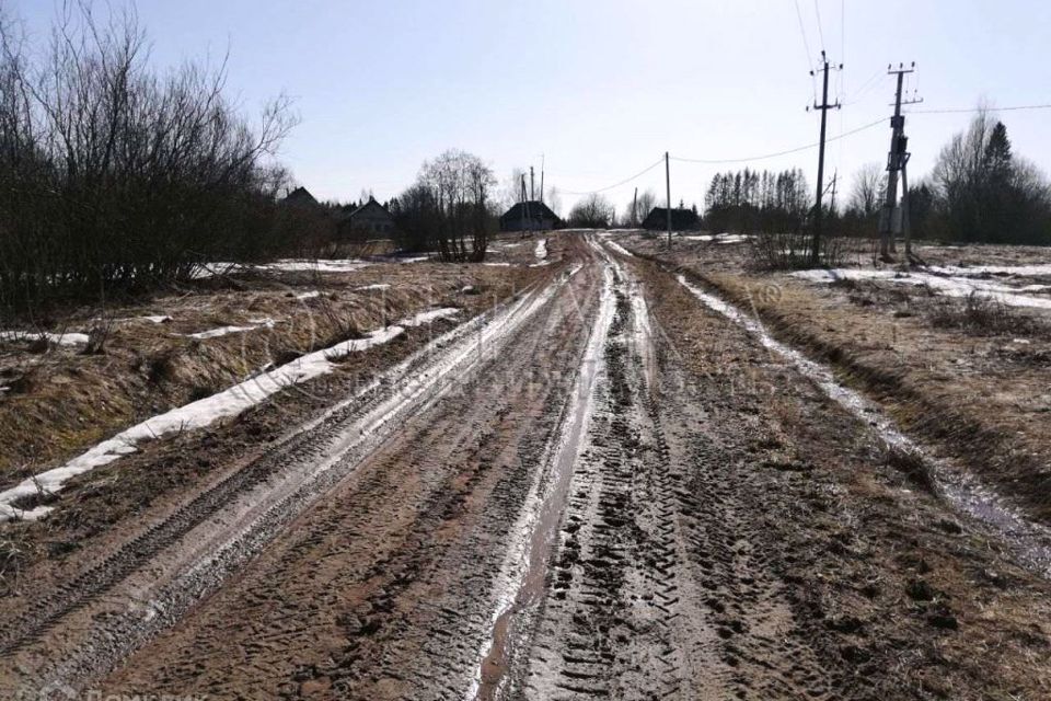 земля р-н Валдайский деревня Некрасовичи фото 6