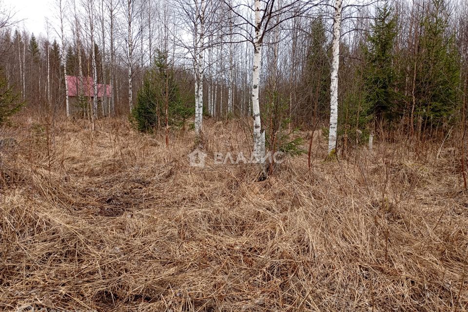 земля г Сыктывкар снт тер ЧовскоеЧовские зори городской округ Сыктывкар, проезд № 6 фото 7