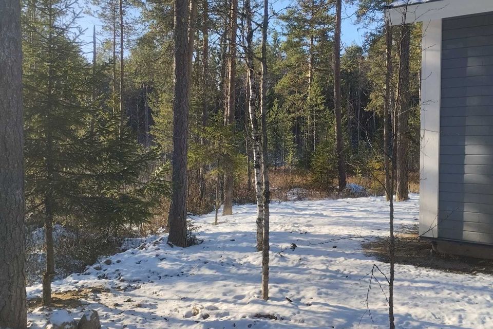 дом р-н Прионежский снт Надежда 29 фото 8