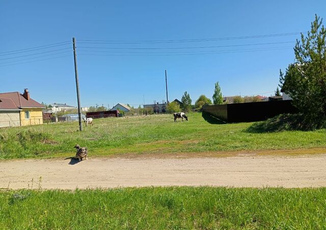 земля с Новый Белый Яр Белоярское сельское поселение, Сенгилей фото