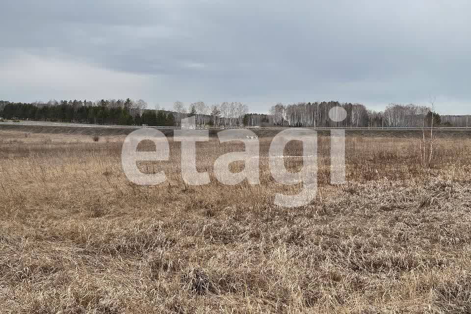 земля г Красноярск тракт Енисейский городской округ Красноярск фото 8