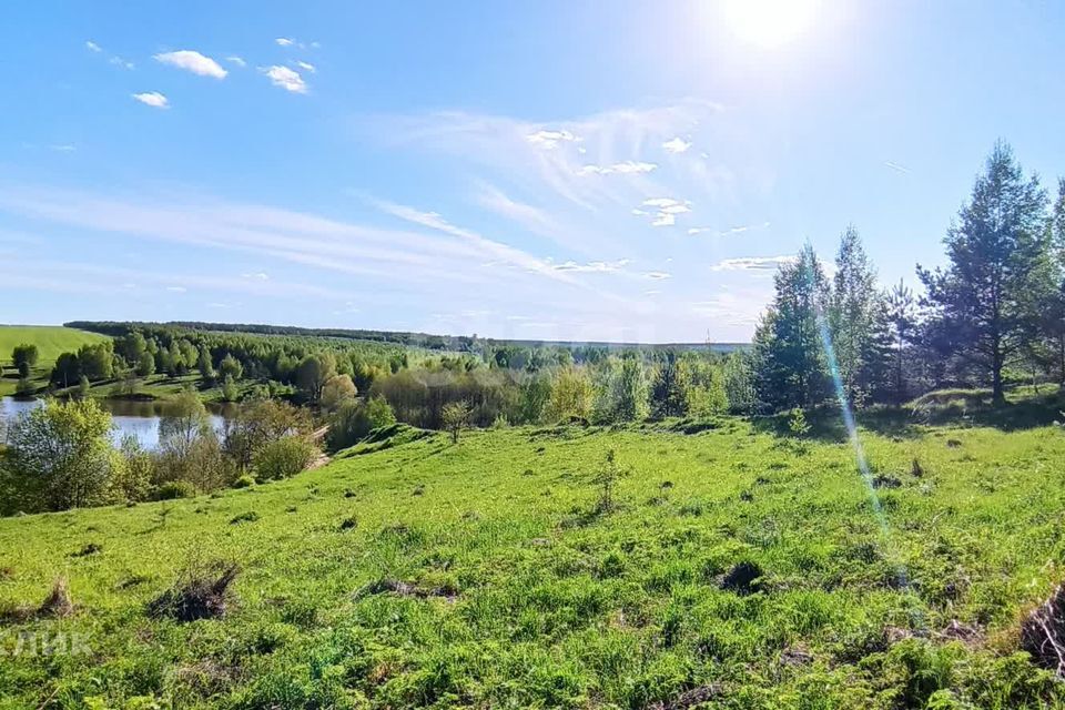 земля р-н Богородский д Куликово ул Большое Куликово фото 6