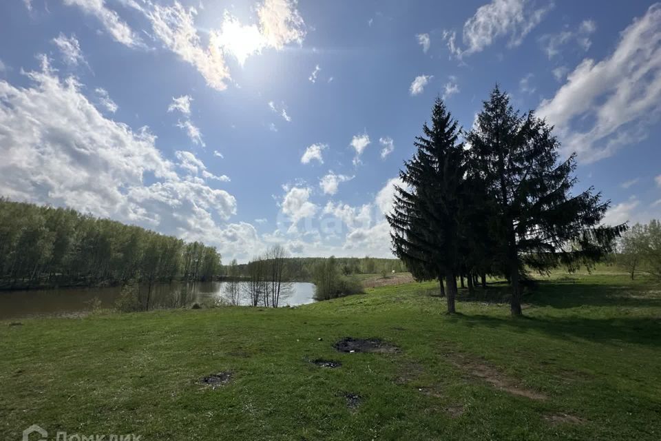 земля р-н Богородский с Каменки ул Центральная фото 9