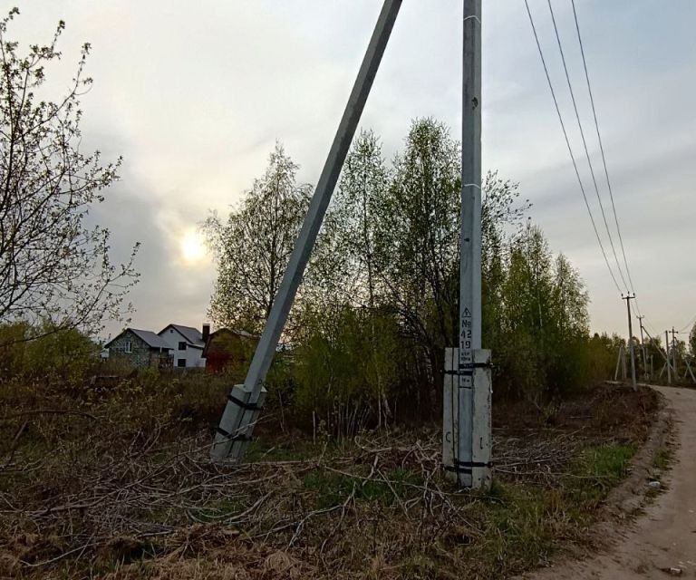 земля городской округ Бор, улица Лётчика Власова, деревня Овечкино фото 6