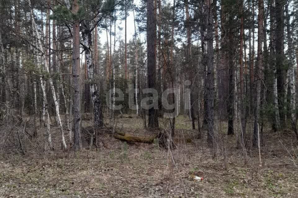 земля г Екатеринбург муниципальное образование город Екатеринбург, ПСК Северка-1 фото 5