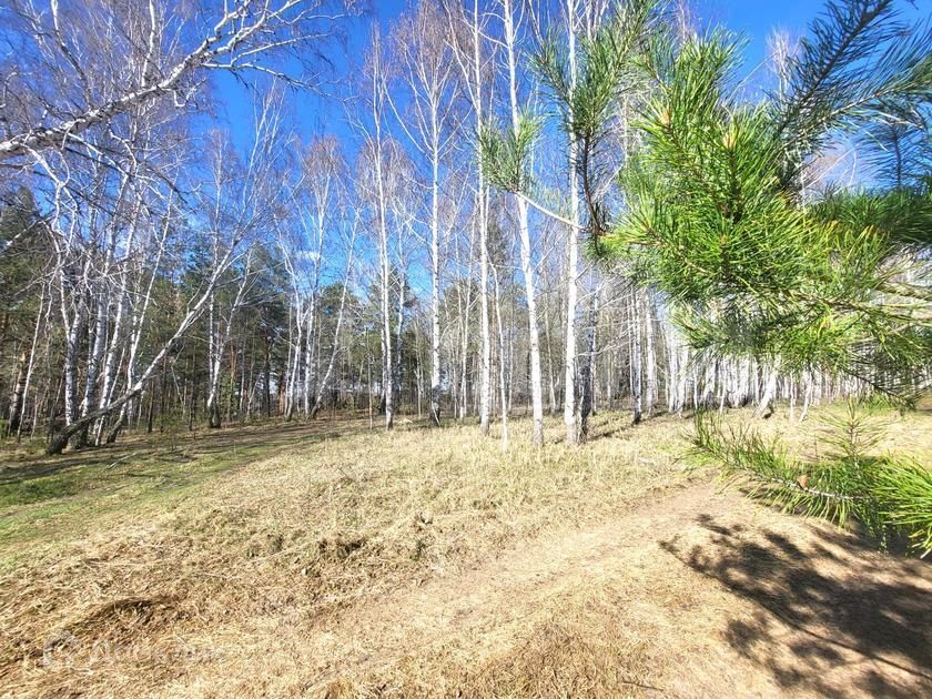 земля р-н Нижнетавдинский с Андрюшино ул Химлесхозовская фото 6