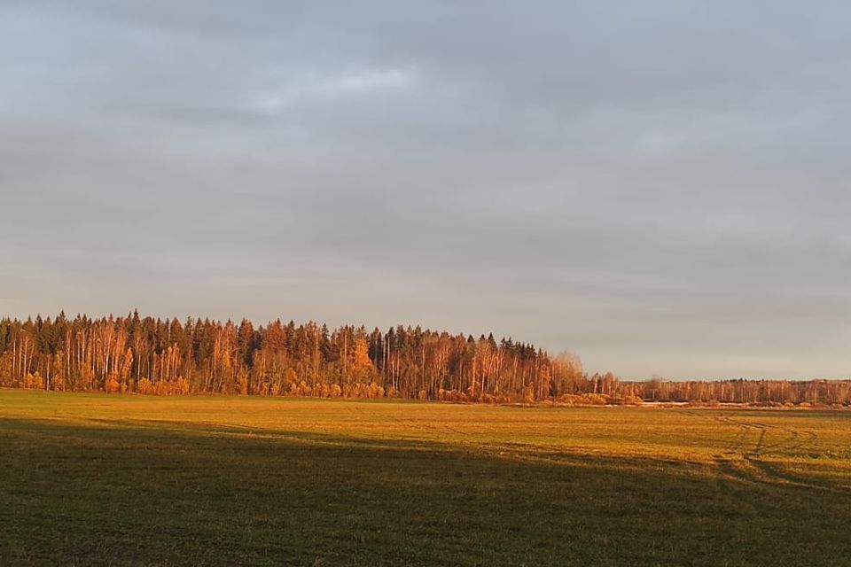 земля р-н Выборгский Советское городское поселение фото 3