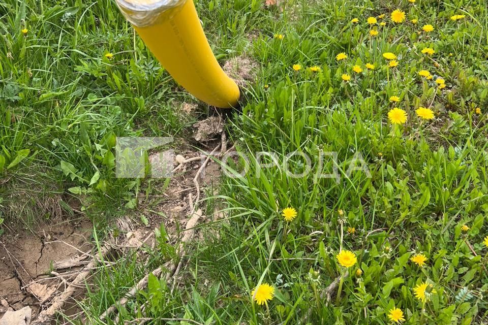 земля городской округ Наро-Фоминский посёлок совхоза Архангельский, улица Грибановка фото 4