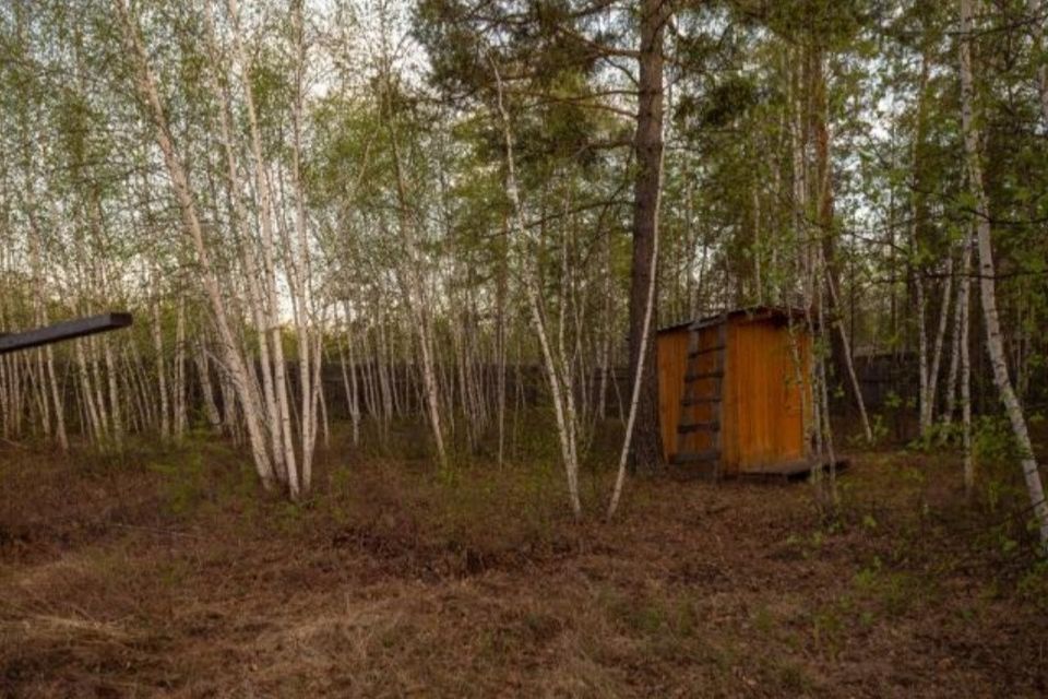 земля г Якутск городской округ Якутск, садово-огородническое товарищество Борисовское фото 4