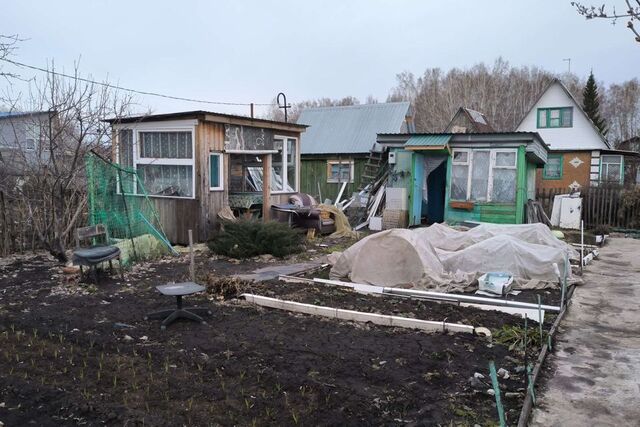 городской округ Омск, территория СОСН Шинник-3, 1-я аллея, 54 фото