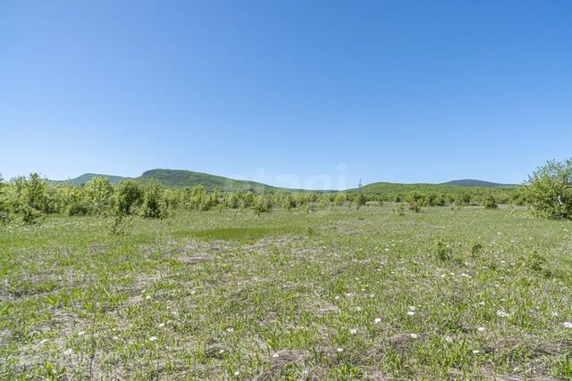 Балаклавский район, Орлиновский муниципальный округ фото