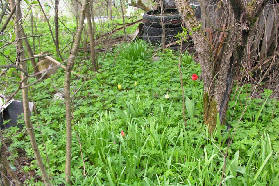 дом г Калуга снт Чайка городской округ Калуга, улица Чайка-1, 2 фото 3